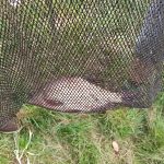 IMG-20240831-WA0017